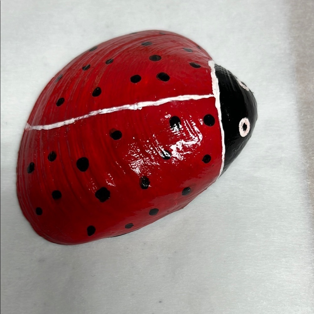 Hand Painted  Ladybug Shell - Picture 3 of 9